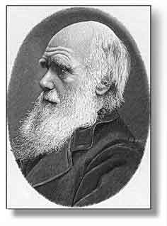 Darwin